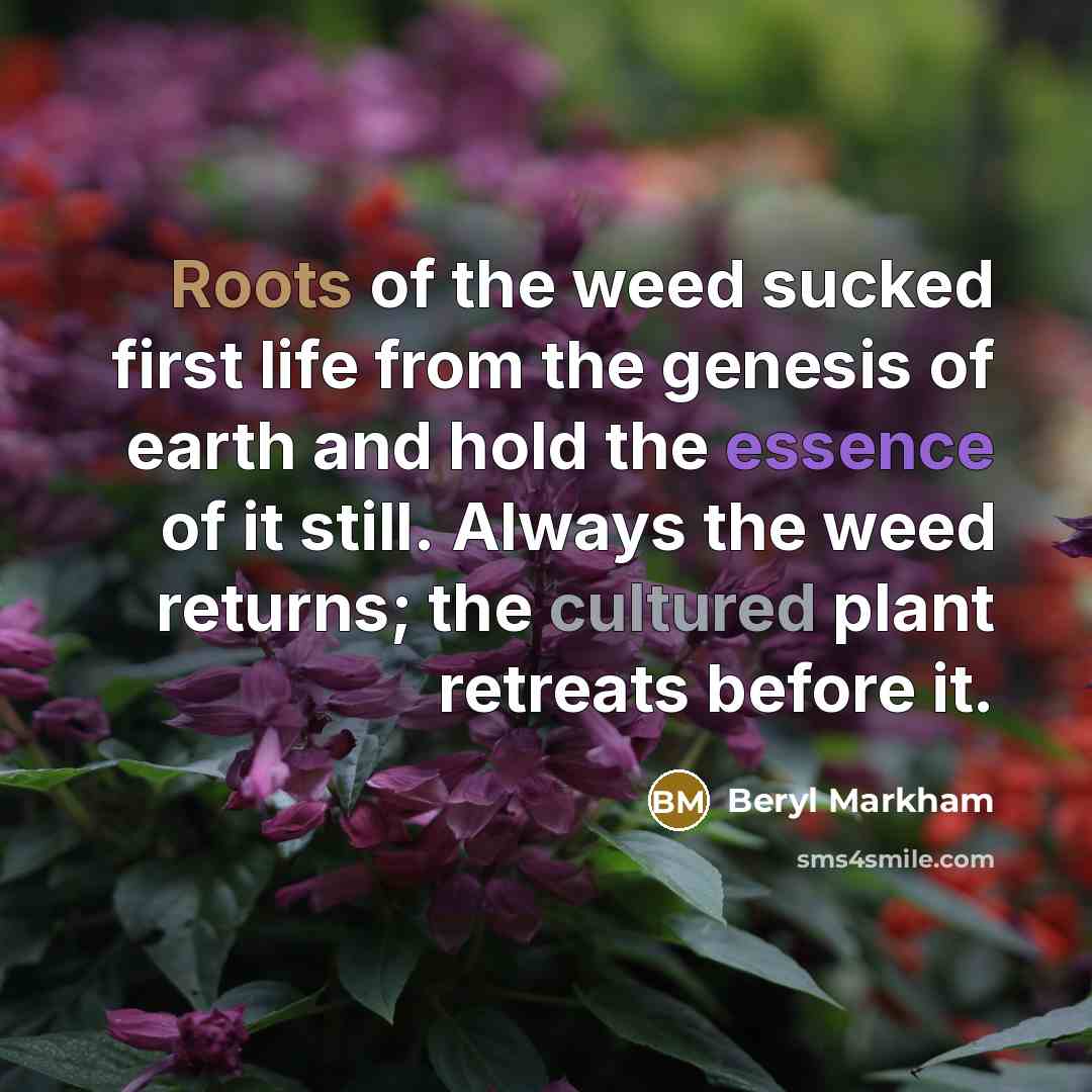 “Roots of the weed sucked first life from the genesis…” quote by Beryl Markham
