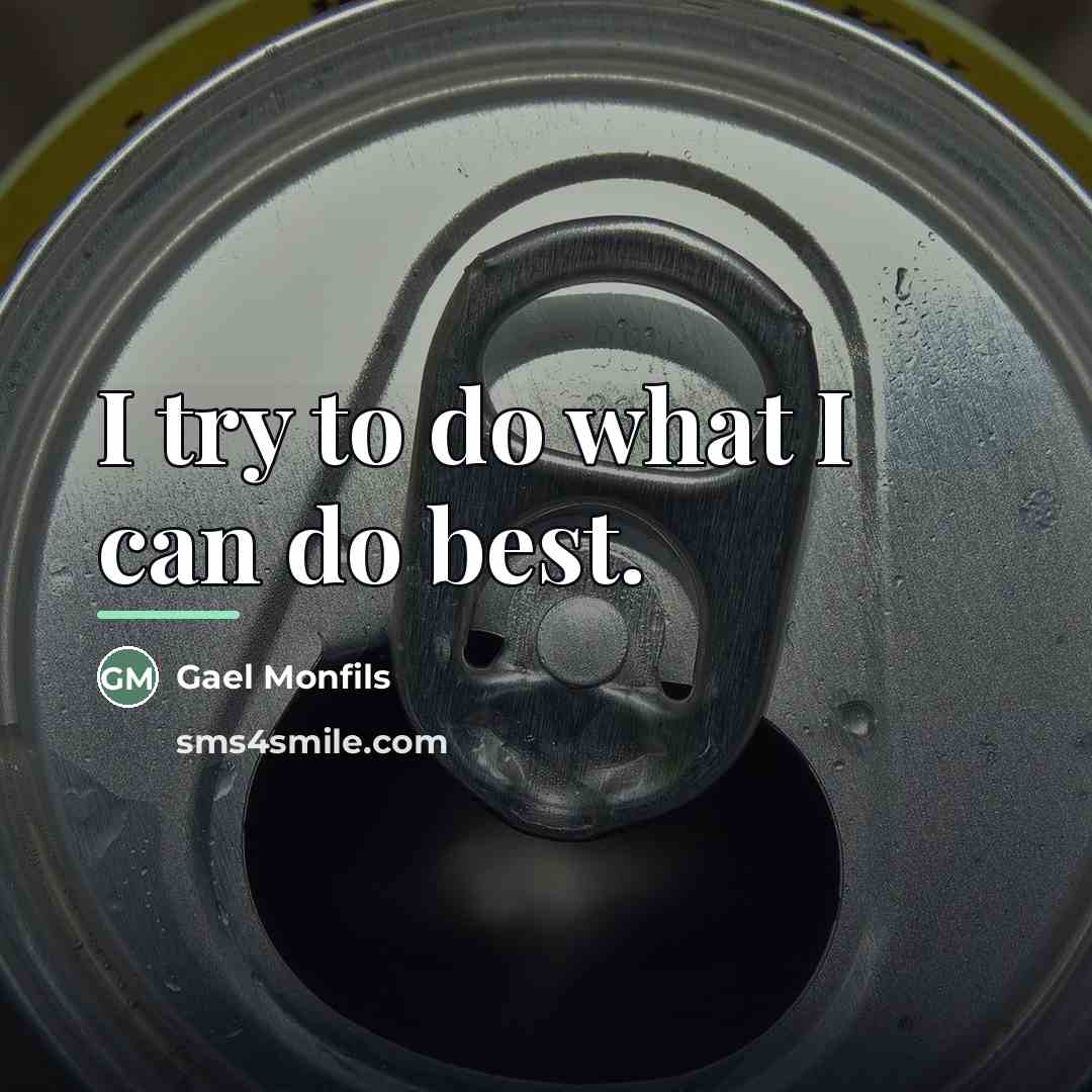 “I try to do what I can do best.…” quote by Gael Monfils