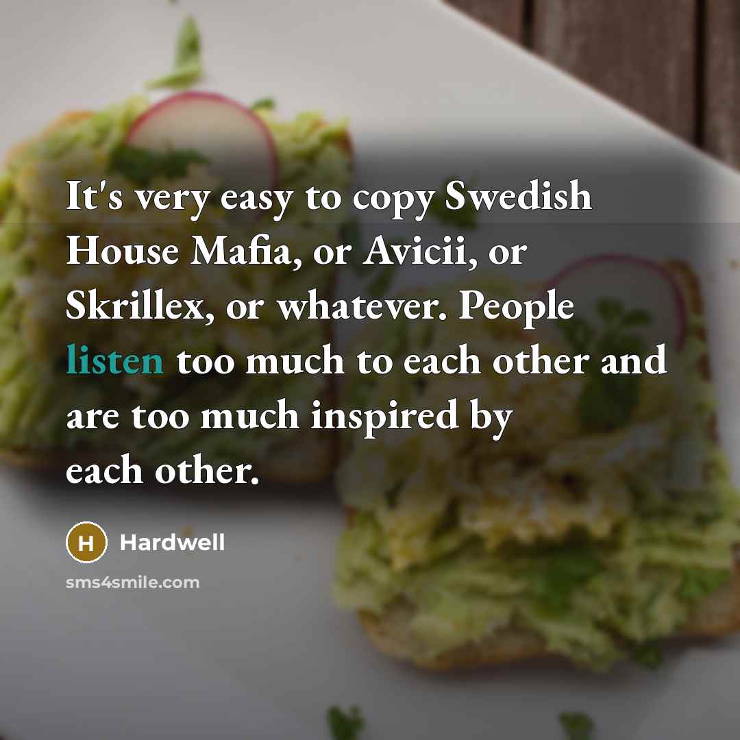 “It's very easy to copy Swedish House Mafia, or Avicii,…” quote by Hardwell