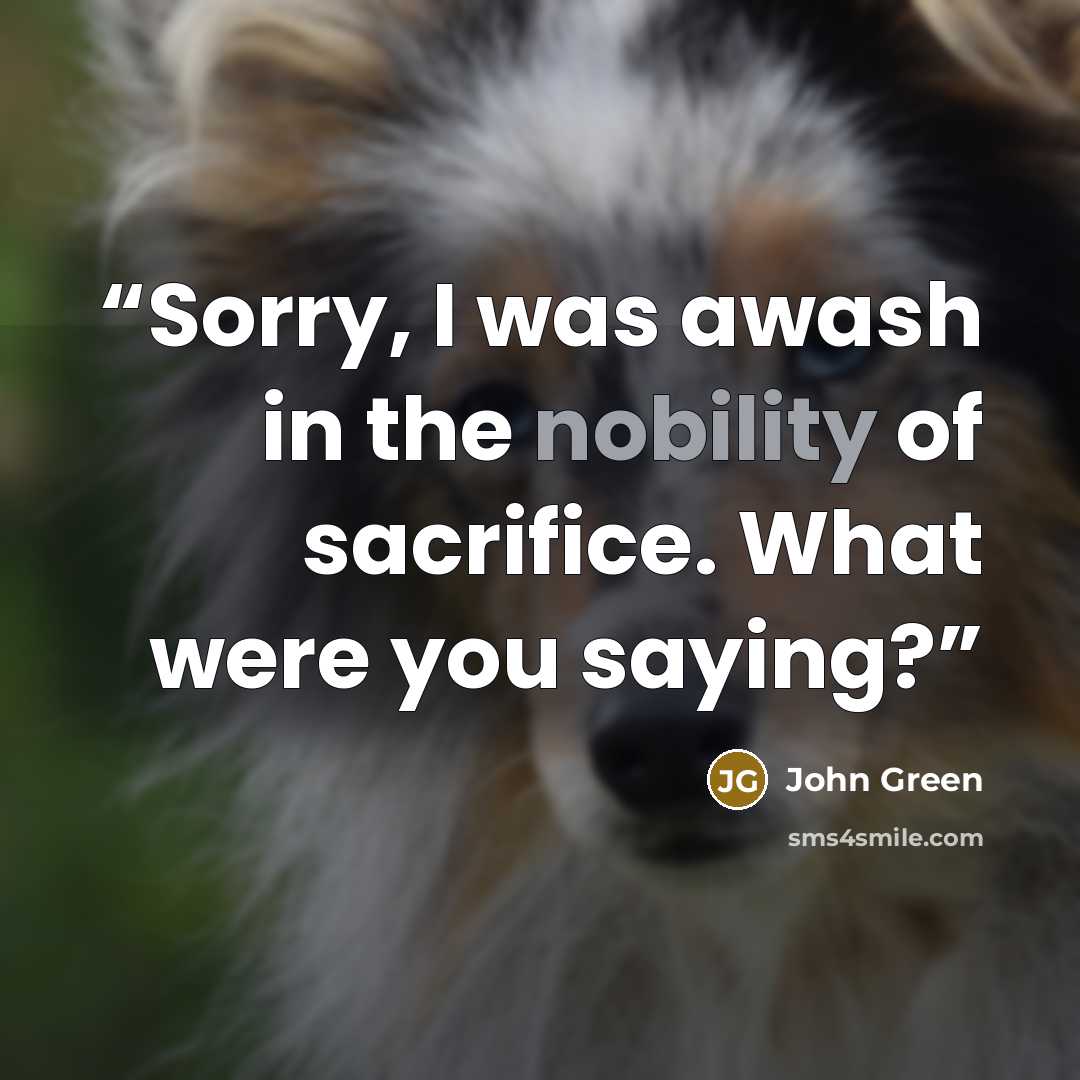 “Sorry, I was awash in the nobility of sacrifice. What were you saying?” quote by John Green