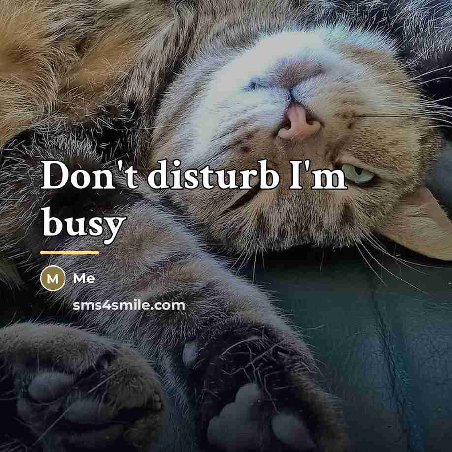 “Don't disturb I'm busy…” quote by Me