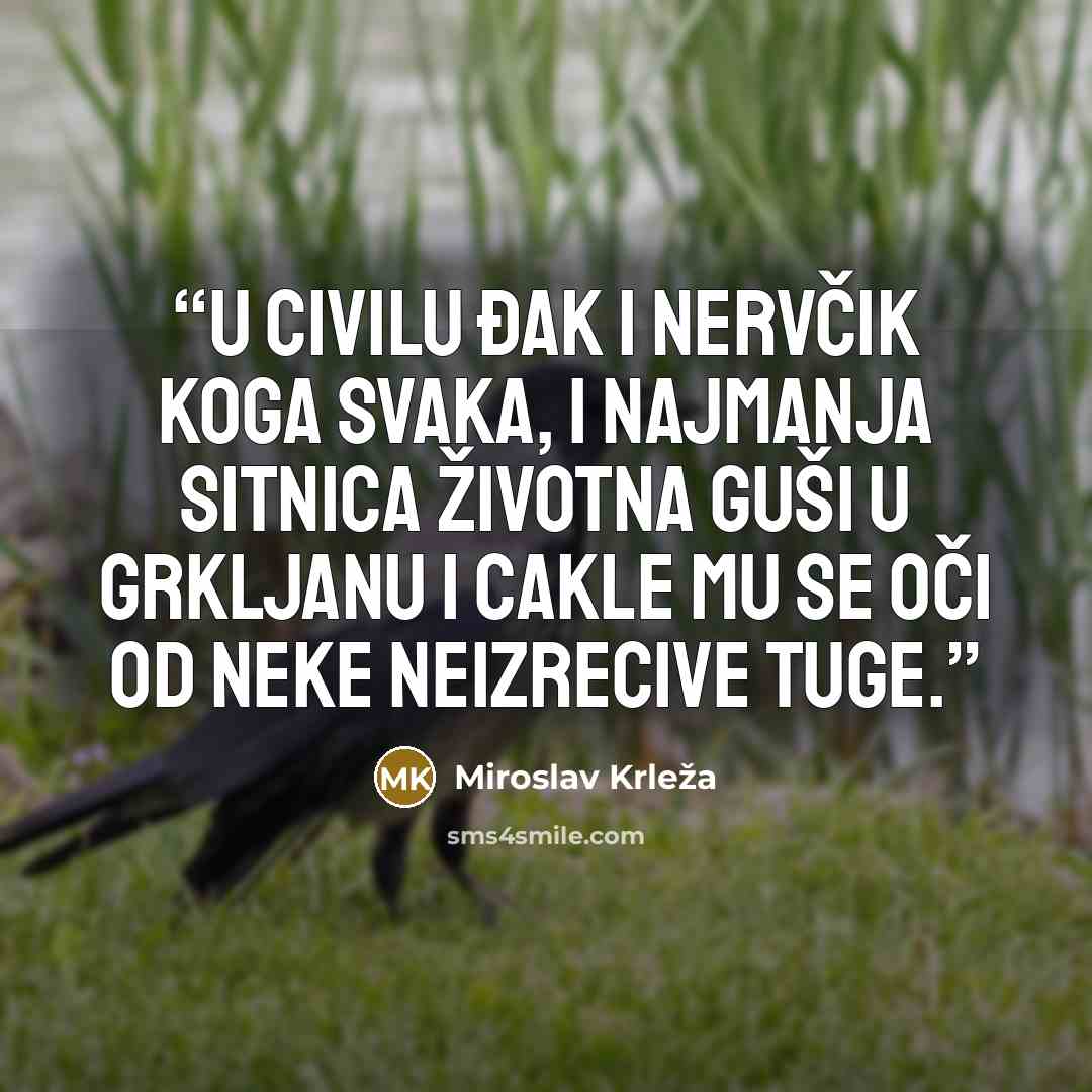 “U civilu đak i nervčik koga svaka, i najmanja sitnica životna guši u grkljanu i cakle mu se oči od neke neizrecive tuge.” quote by Miroslav Krleža