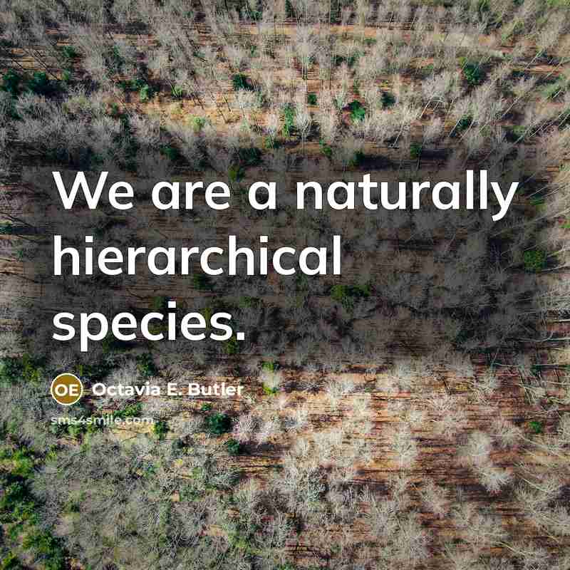 “We are a naturally hierarchical species.…” quote by Octavia E. Butler
