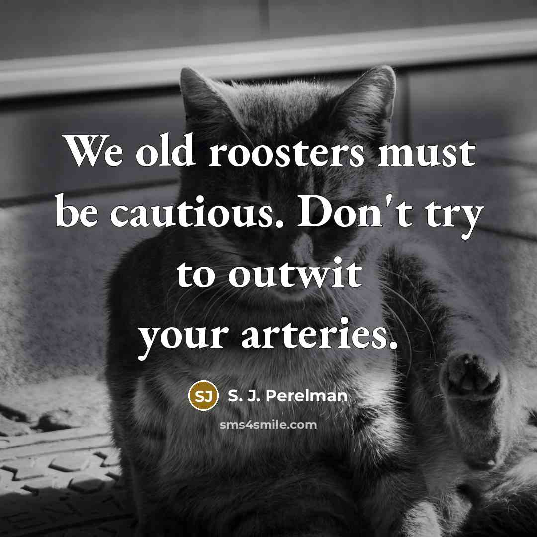 “We old roosters must be cautious. Don't try to outwit…” quote by S. J. Perelman
