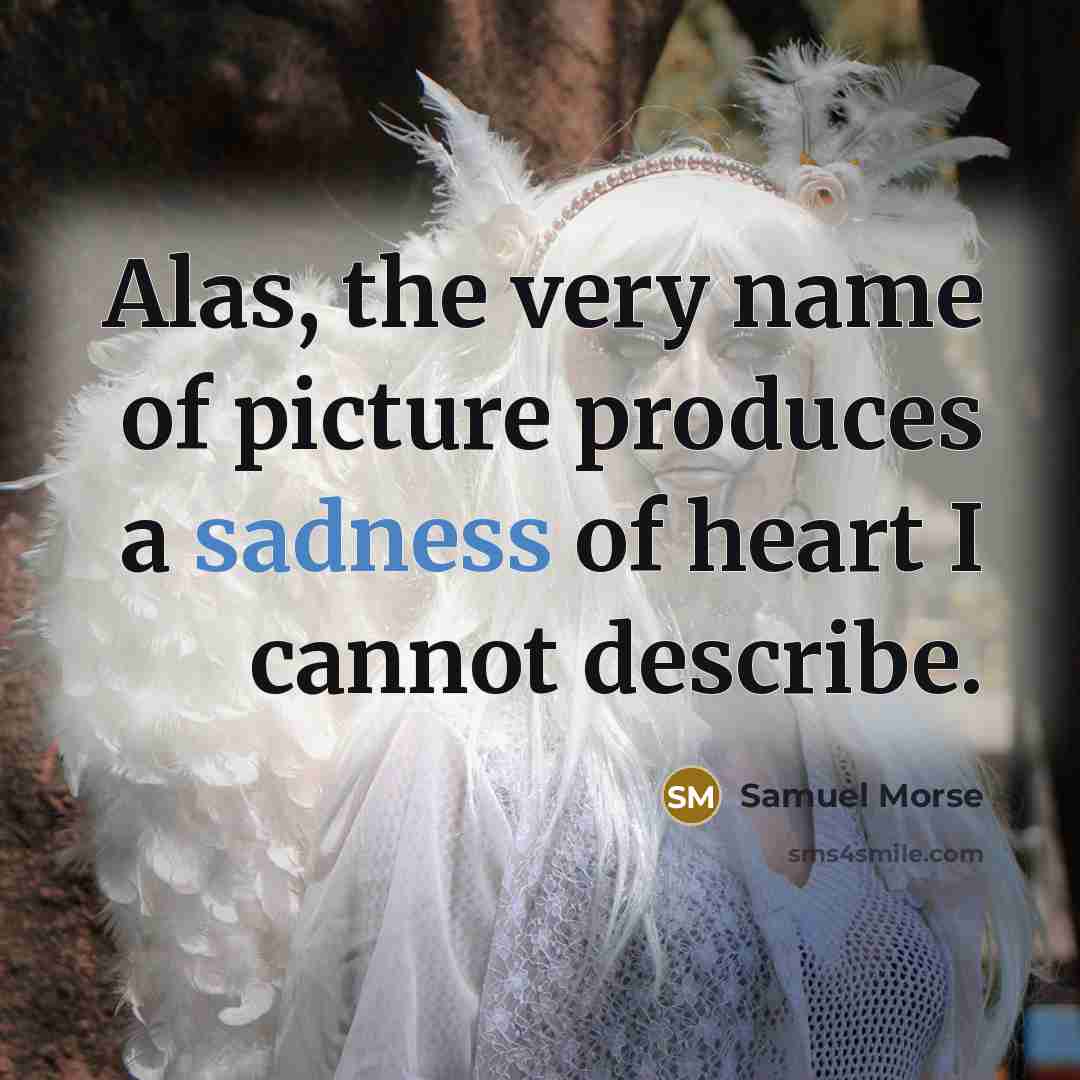 “Alas, the very name of picture produces a sadness of…” quote by Samuel Morse