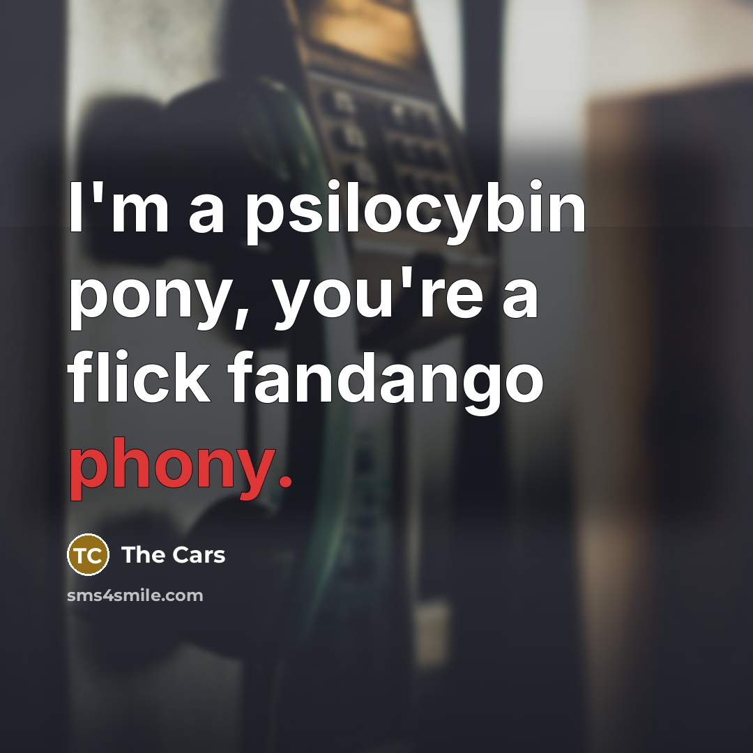 “I'm a psilocybin pony, you're a flick fandango phony.…” quote by The Cars