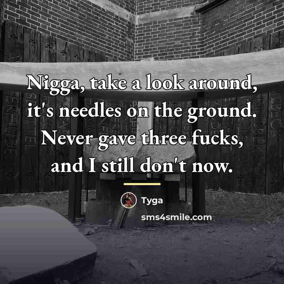 “Nigga, take a look around, it's needles on the ground.…” quote by Tyga