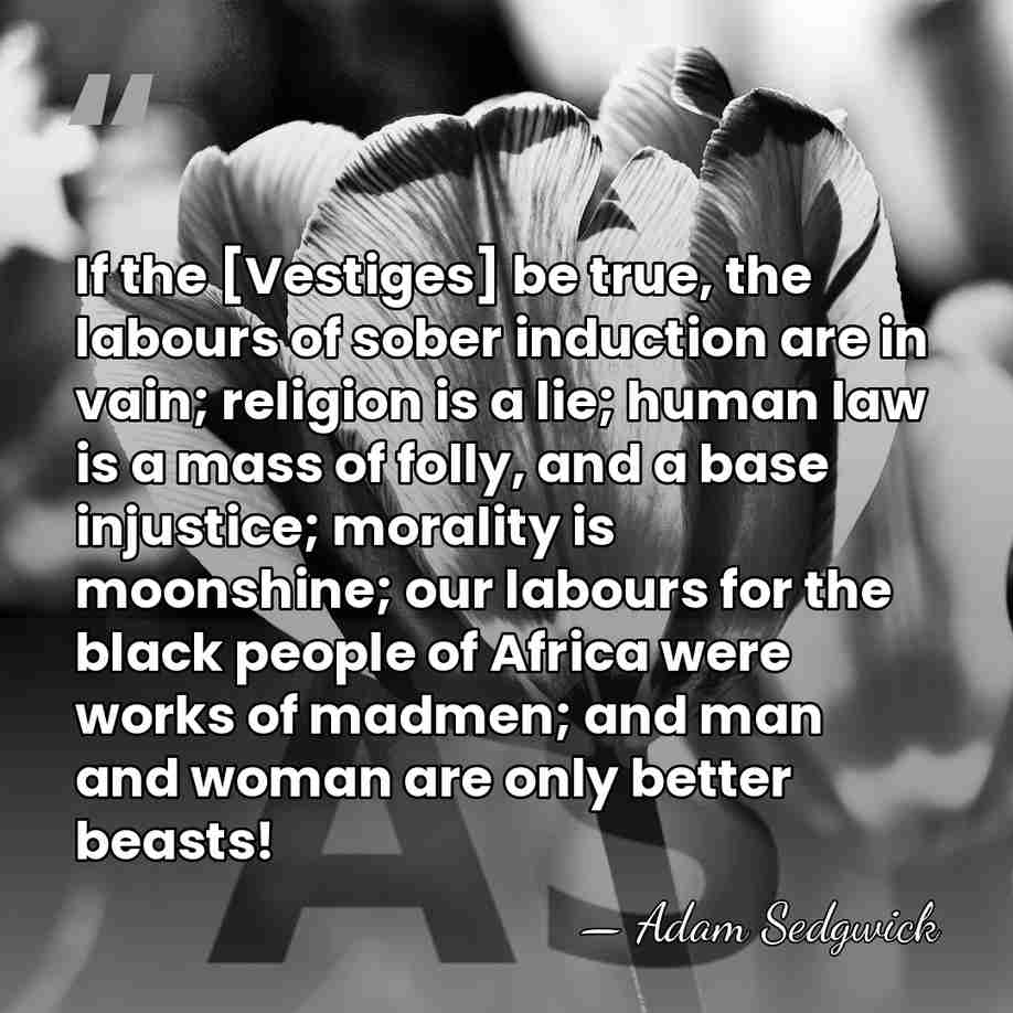If the [Vestiges] be true, the labours of sober induction are in&hellip; - Adam Sedgwick