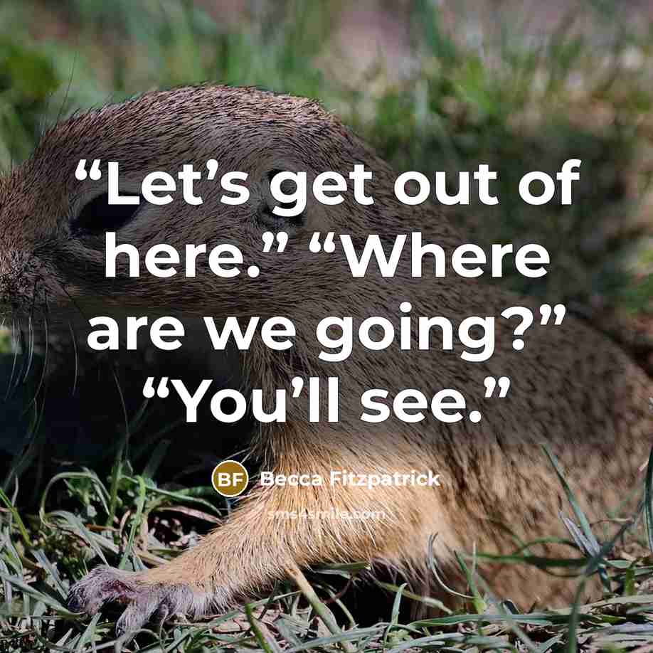 “Let’s get out of here.” “Where are we going?” “You’ll see.” quote by Becca Fitzpatrick