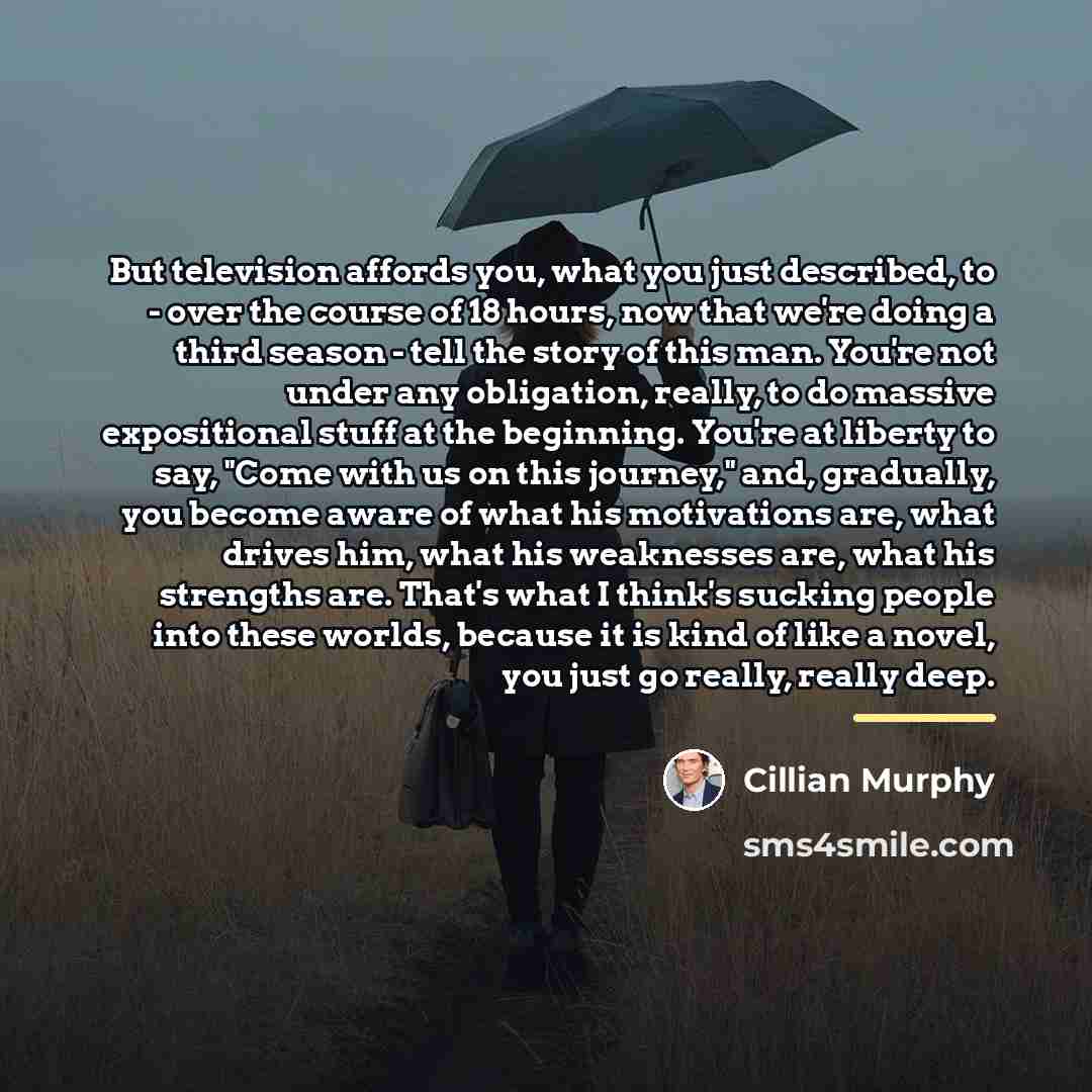 “But television affords you, what you just described, to -…” quote by Cillian Murphy
