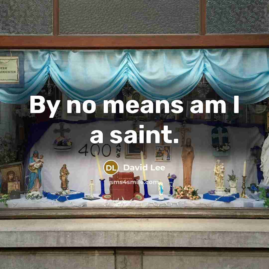 “By no means am I a saint.…” quote by David Lee