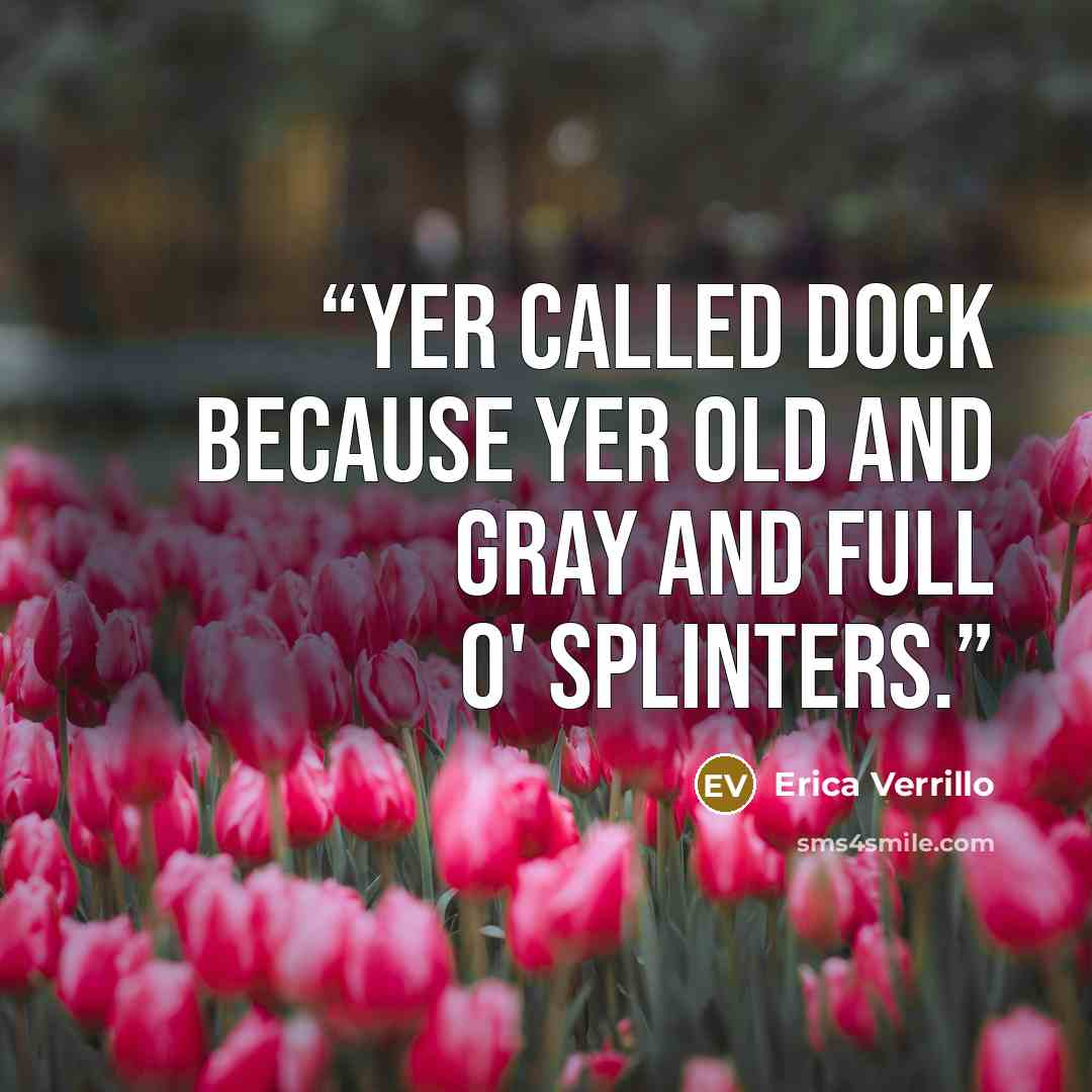 “Yer called Dock because yer old and gray and full o' splinters.” quote by Erica Verrillo