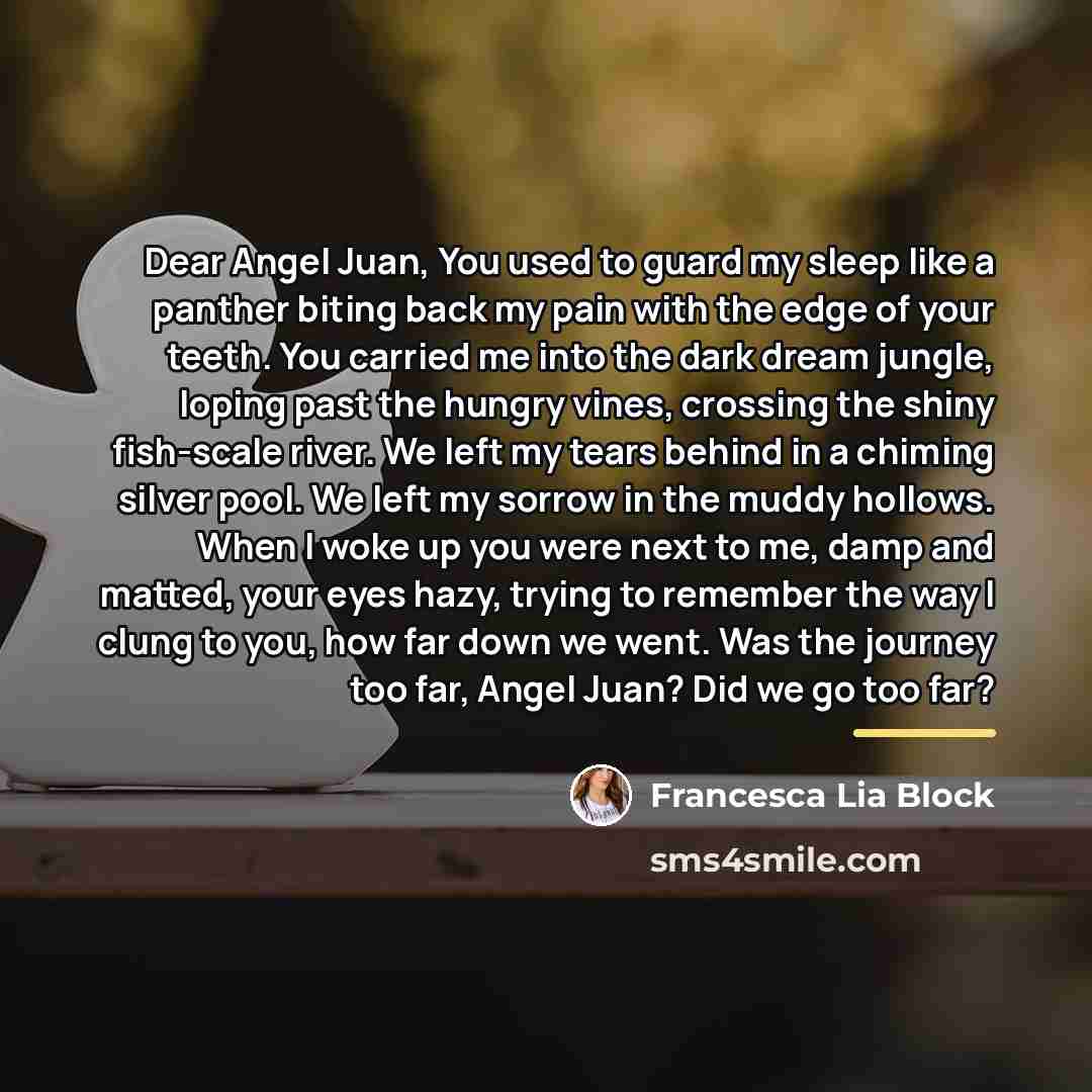 “Dear Angel Juan, You used to guard my sleep like…” quote by Francesca Lia Block