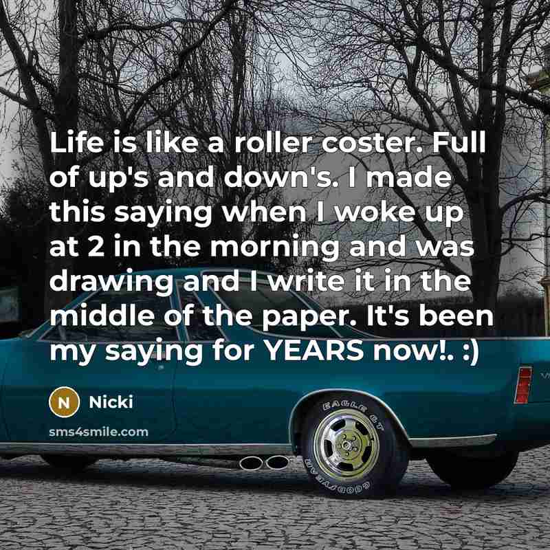 “Life is like a roller coster. Full of up's and…” quote by Nicki