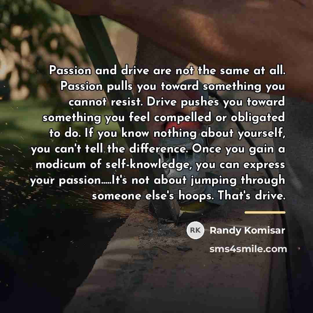 “Passion and drive are not the same at all. Passion…” quote by Randy Komisar