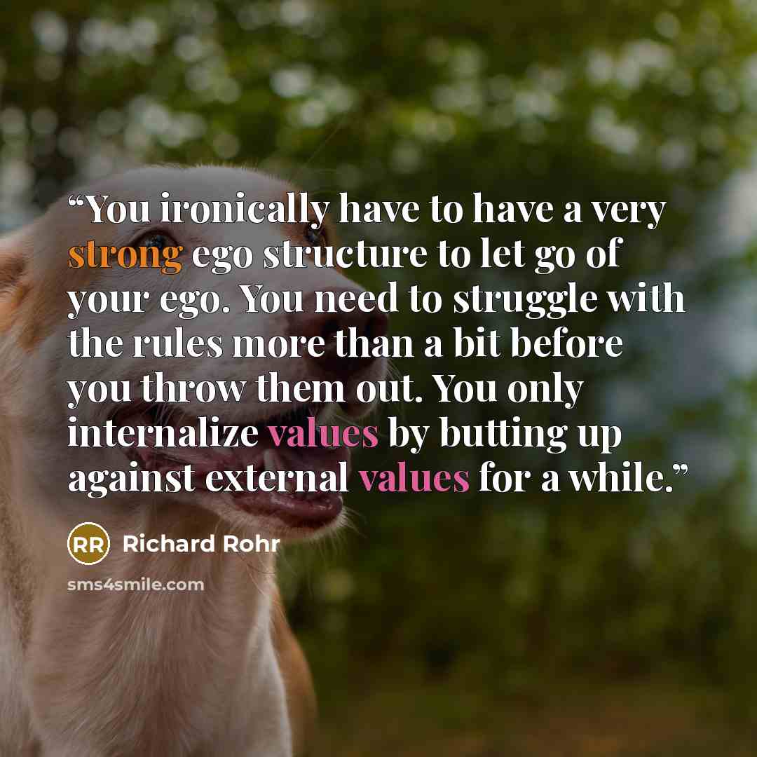 “You ironically have to have a very strong ego structure to let go of your ego. You need to struggle with the rules more than a bit before you throw them out. You only internalize values by butting up against external values for a while.” quote by Richard Rohr