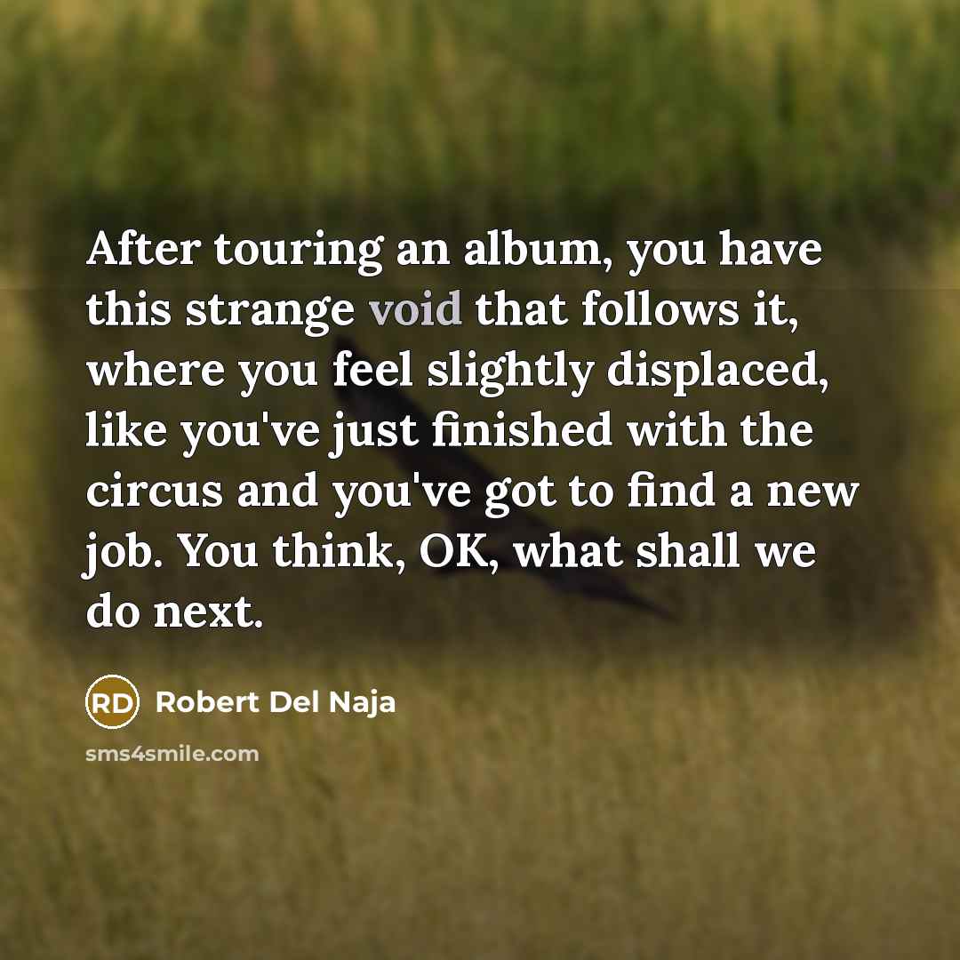 “After touring an album, you have this strange void that…” quote by Robert Del Naja