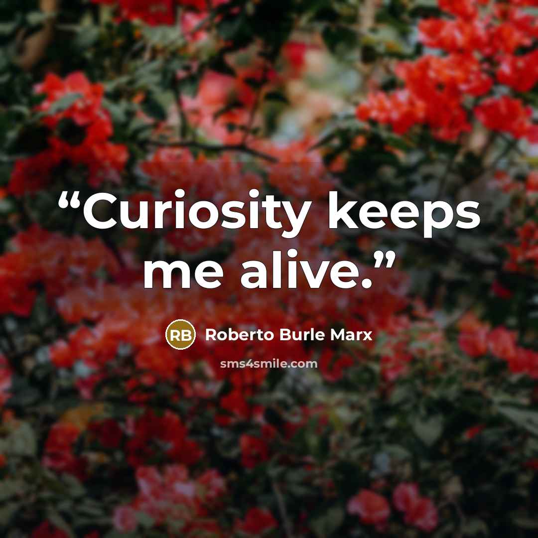 “Curiosity keeps me alive.” quote by Roberto Burle Marx