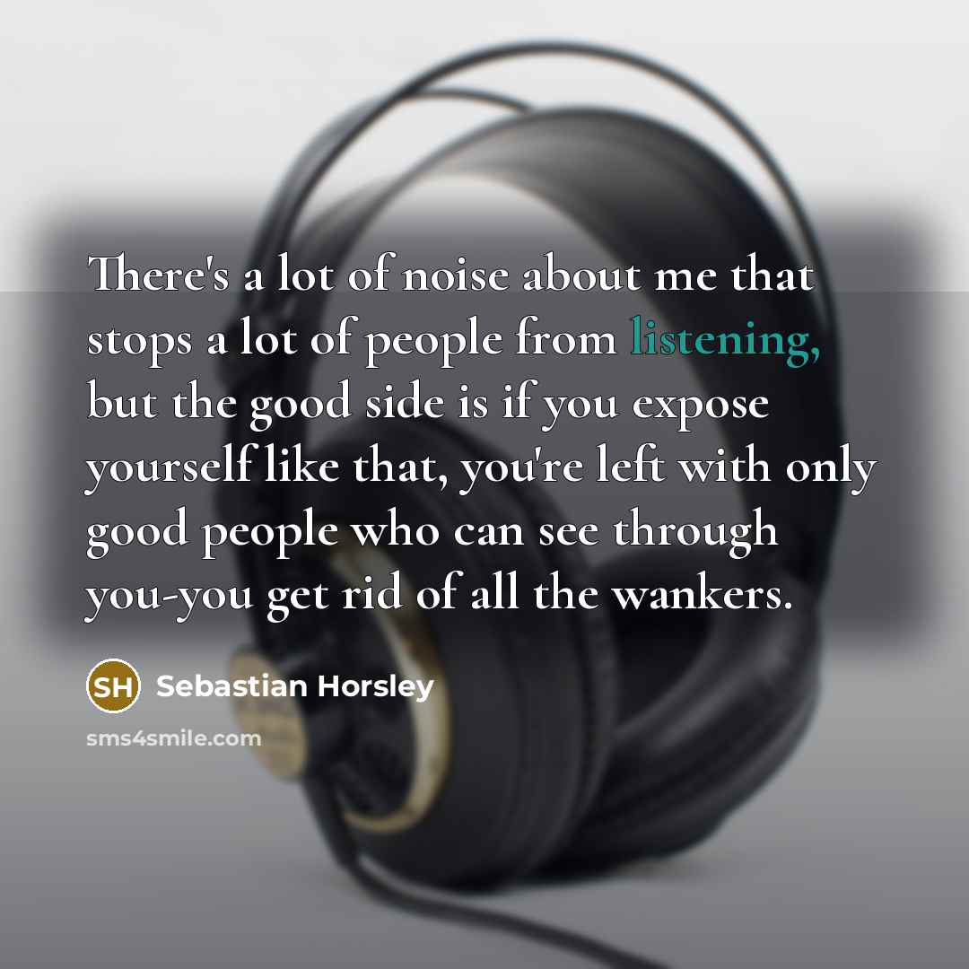 “There's a lot of noise about me that stops a…” quote by Sebastian Horsley