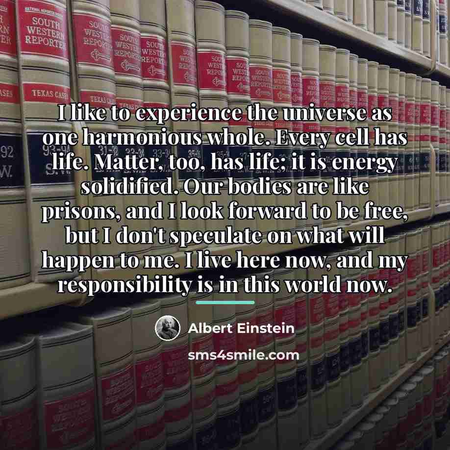“I like to experience the universe as one harmonious whole.…” quote by Albert Einstein
