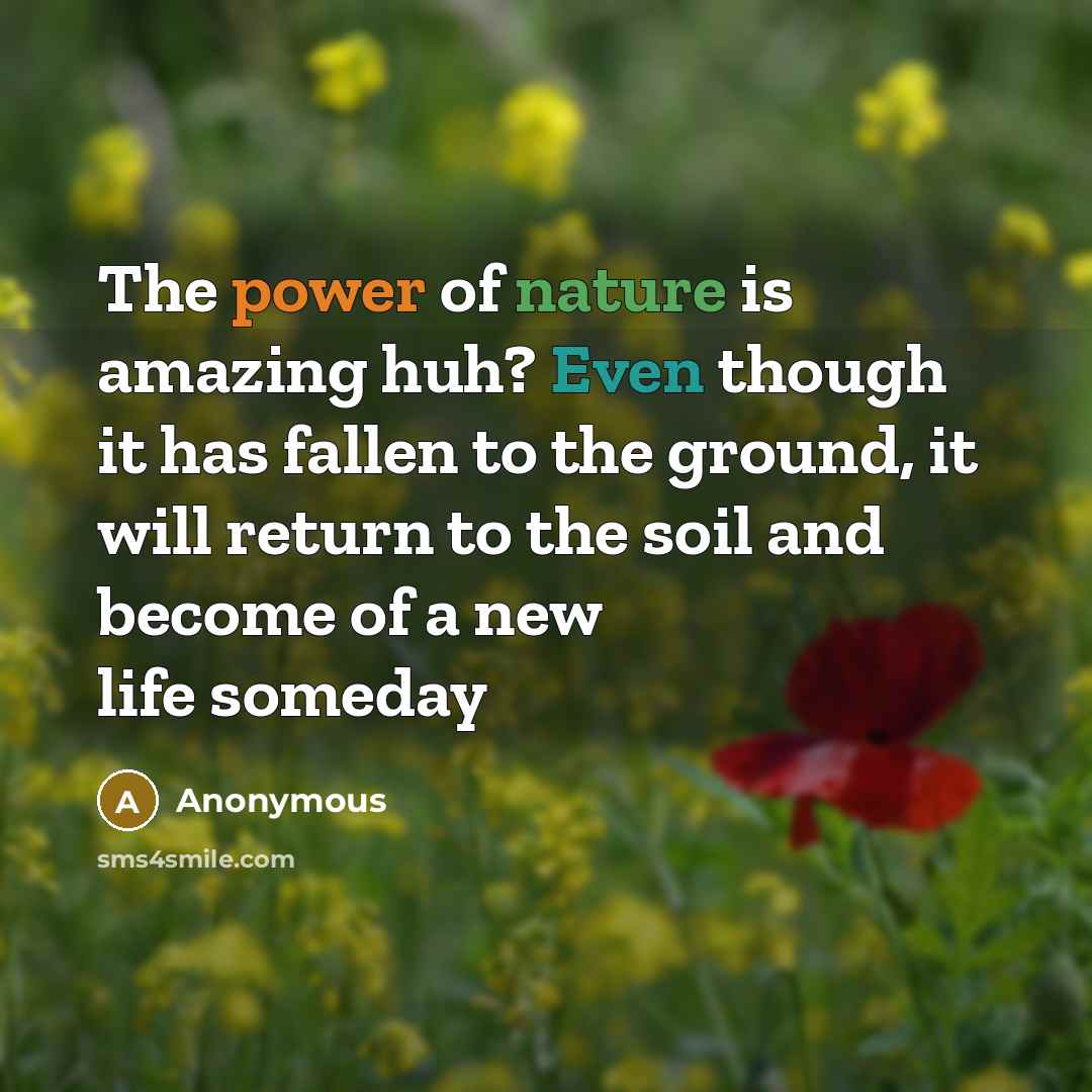 “The power of nature is amazing huh? Even though it…” quote by Anonymous