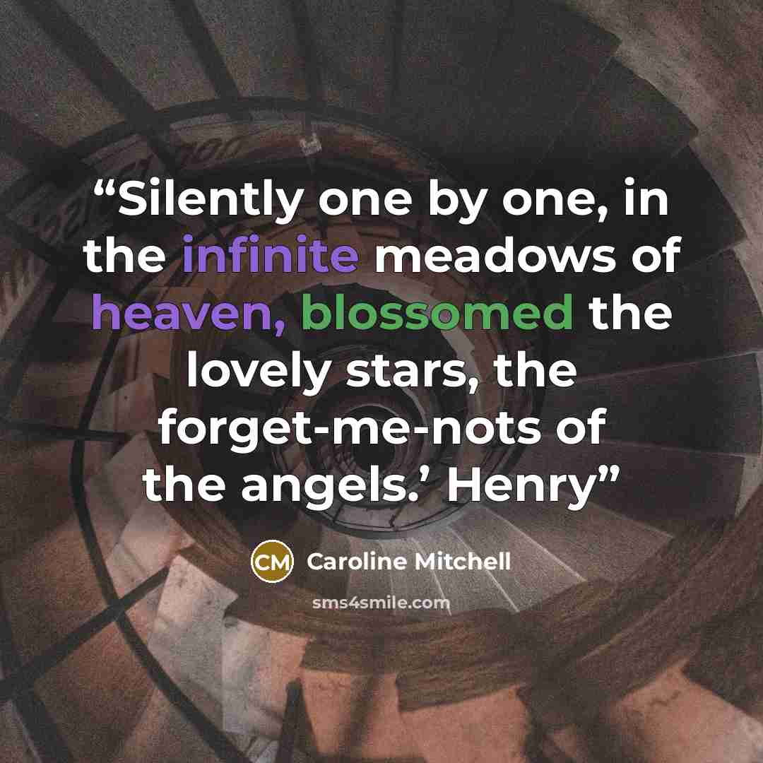 “Silently one by one, in the infinite meadows of heaven, blossomed the lovely stars, the forget-me-nots of the angels.’ Henry” quote by Caroline Mitchell