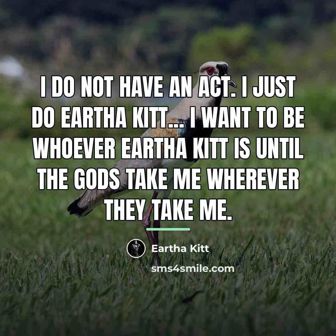 “I do not have an act. I just do Eartha…” quote by Eartha Kitt