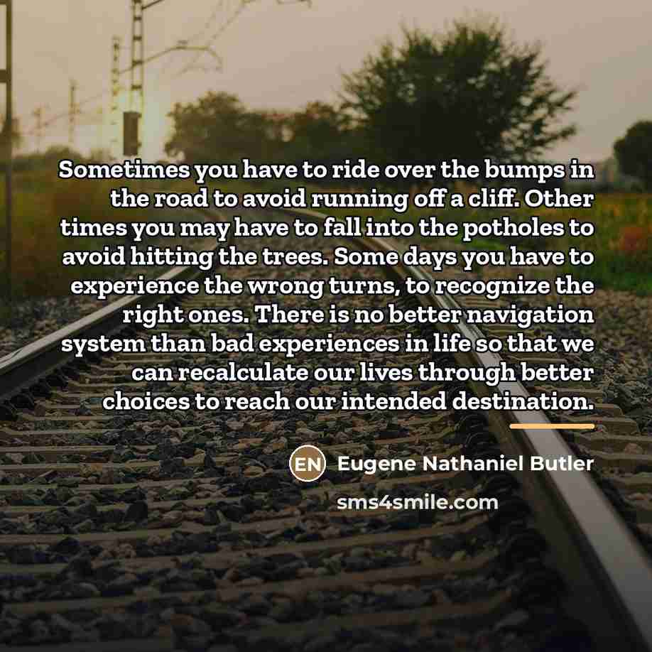 “Sometimes you have to ride over the bumps in the…” quote by Eugene Nathaniel Butler