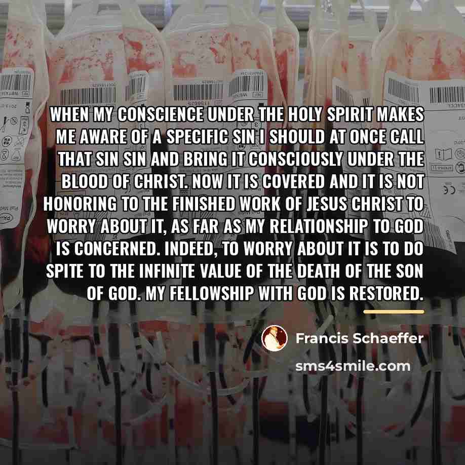“When my conscience under the Holy Spirit makes me aware…” quote by Francis Schaeffer
