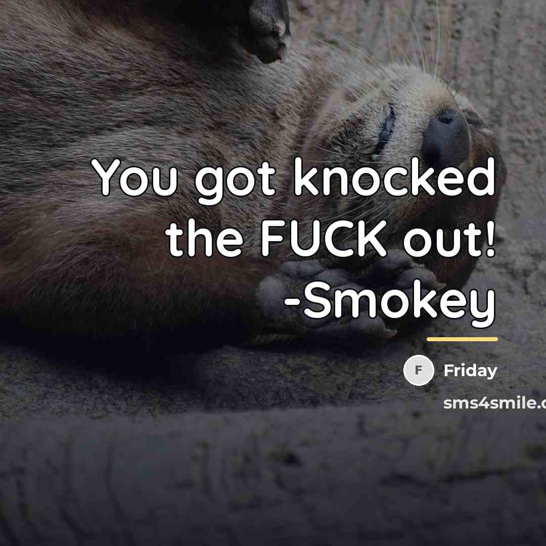 “You got knocked the FUCK out! -Smokey…” quote by Friday