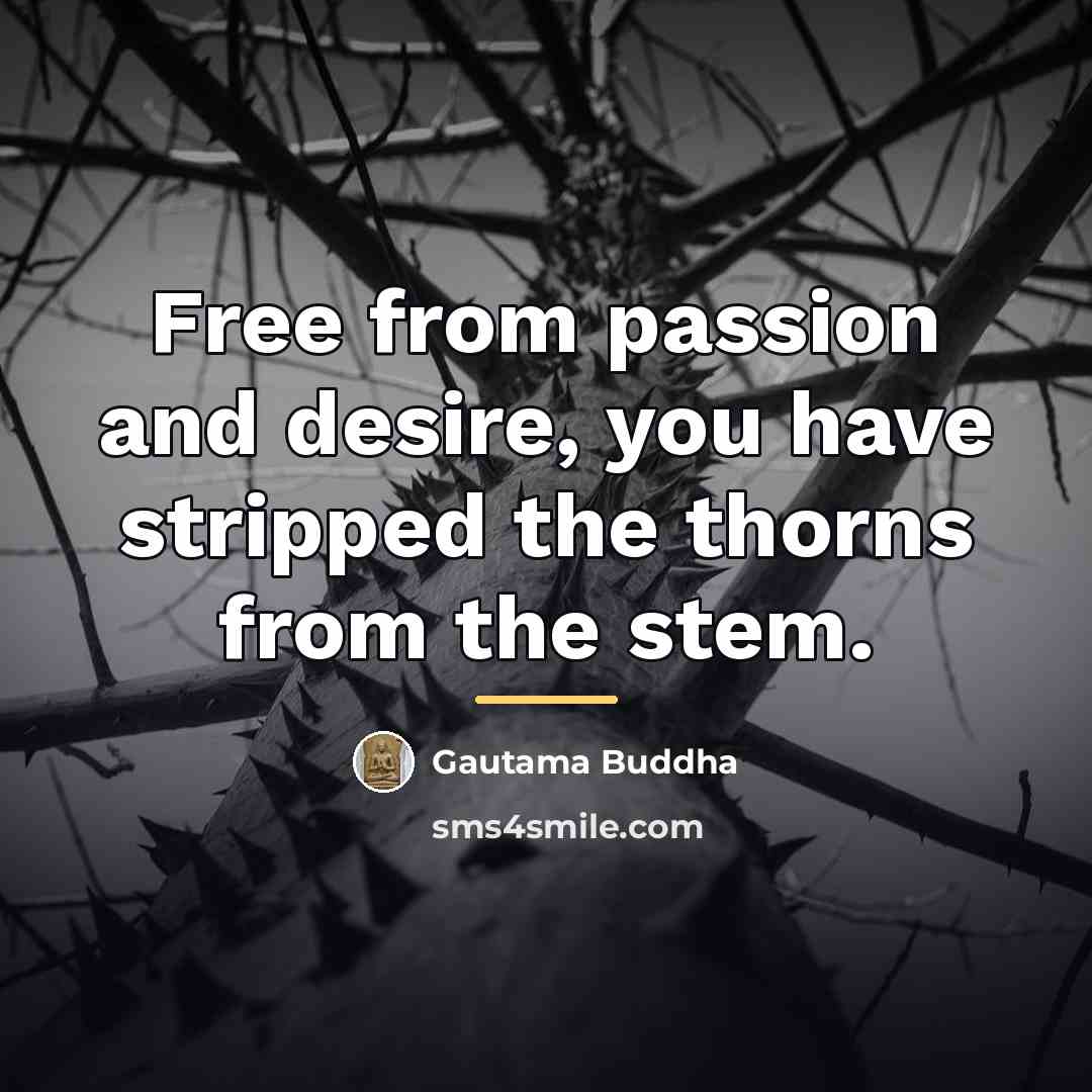 “Free from passion and desire, you have stripped the thorns…” quote by Gautama Buddha