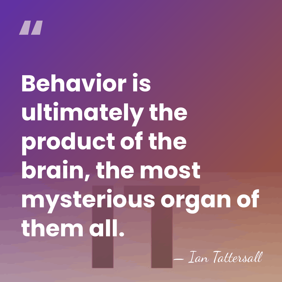 Behavior is ultimately the product of the brain, the most mysterious organ&hellip; - Ian Tattersall