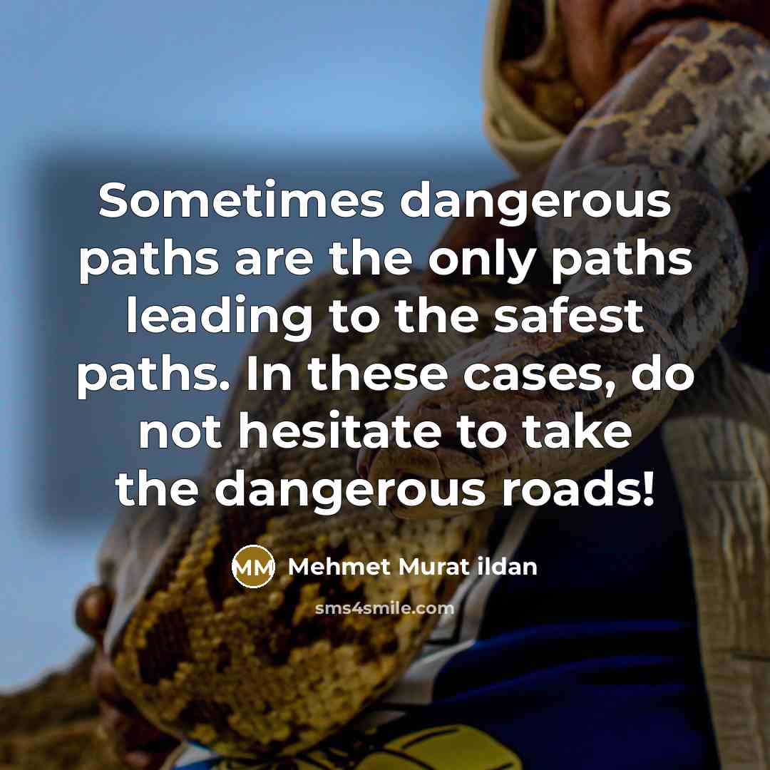 “Sometimes dangerous paths are the only paths leading to the…” quote by Mehmet Murat Ildan