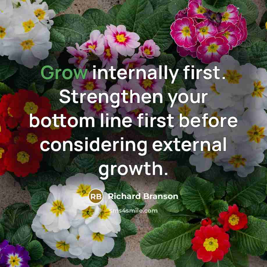 “Grow internally first. Strengthen your bottom line first before considering…” quote by Richard Branson