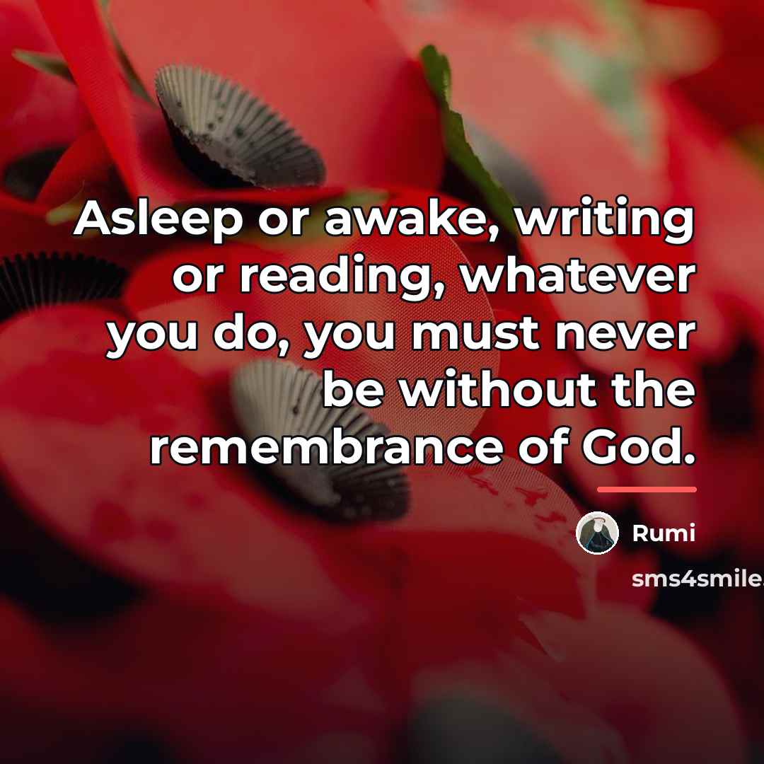 “Asleep or awake, writing or reading, whatever you do, you…” quote by Rumi