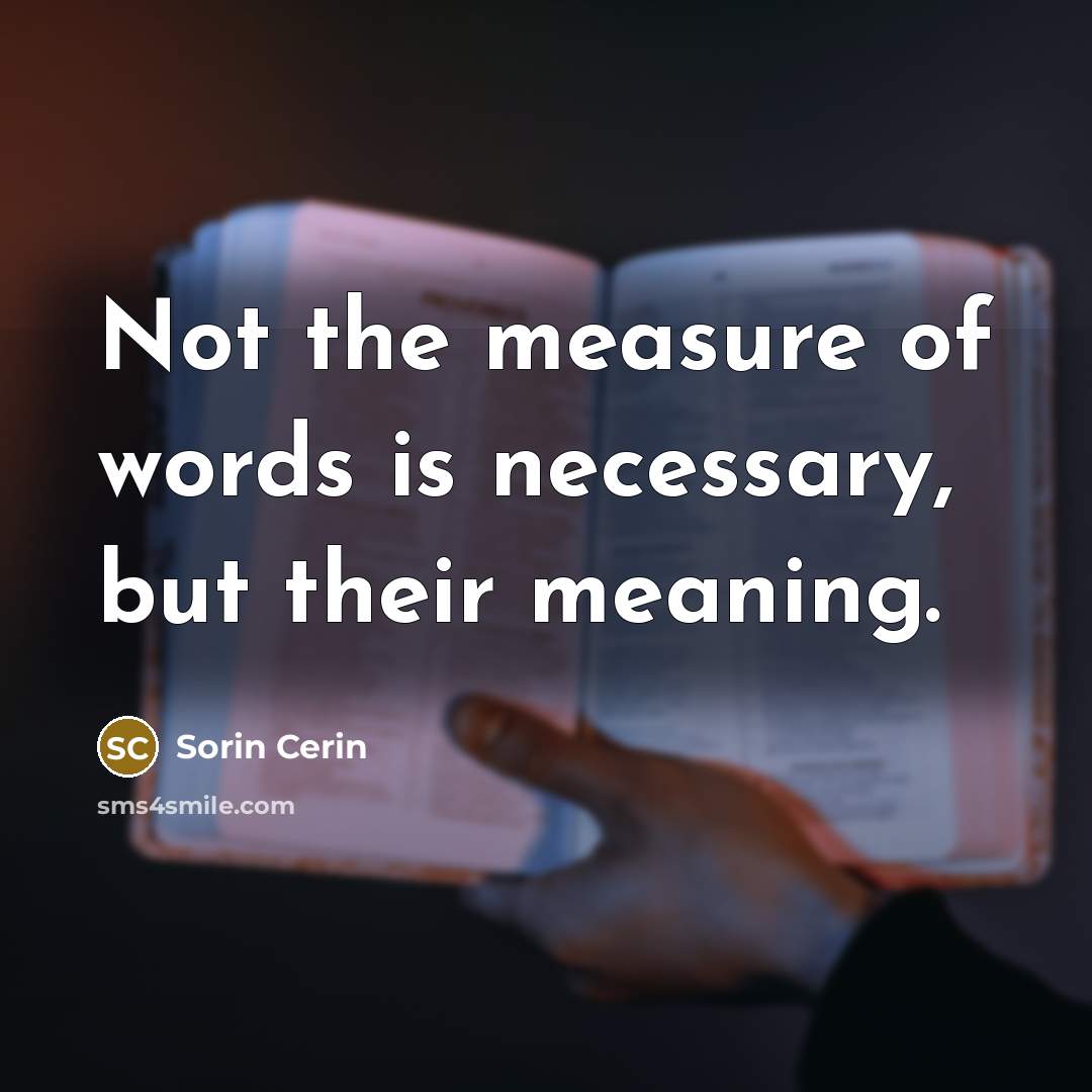 “Not the measure of words is necessary, but their meaning.…” quote by Sorin Cerin