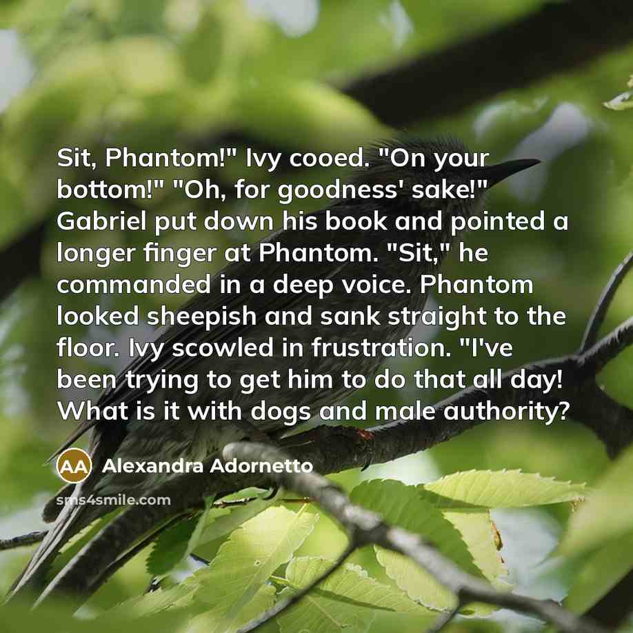 “Sit, Phantom!" Ivy cooed. "On your bottom!" "Oh, for goodness'…” quote by Alexandra Adornetto
