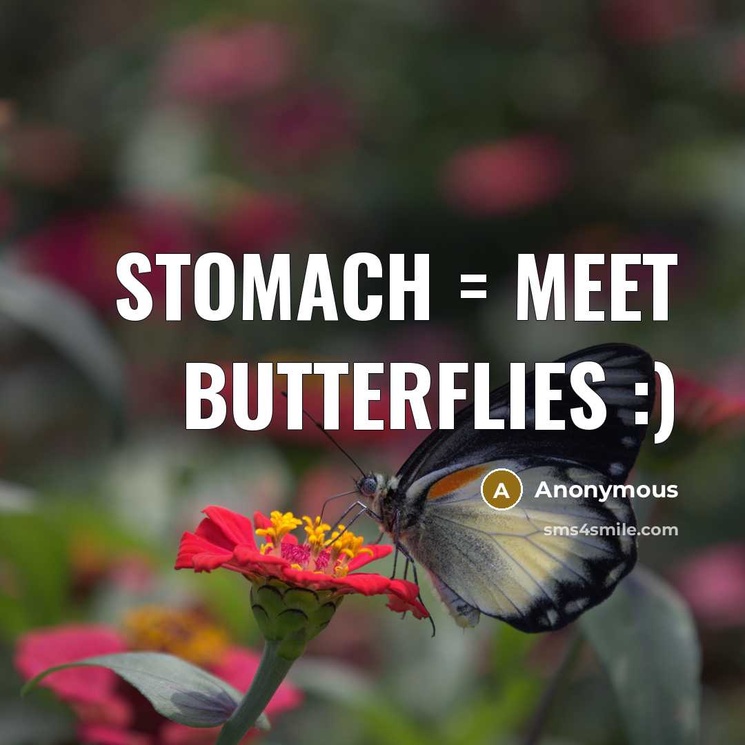 “Stomach = Meet Butterflies :)” quote by Anonymous