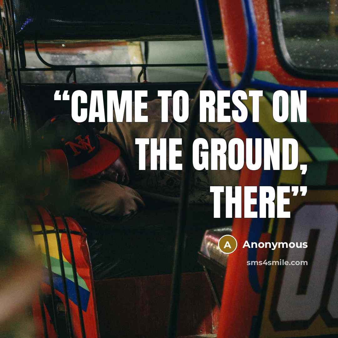 “came to rest on the ground, there” quote by Anonymous