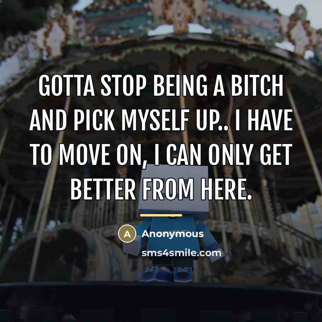 “Gotta stop being a bitch and pick myself up.. I…” quote by Anonymous
