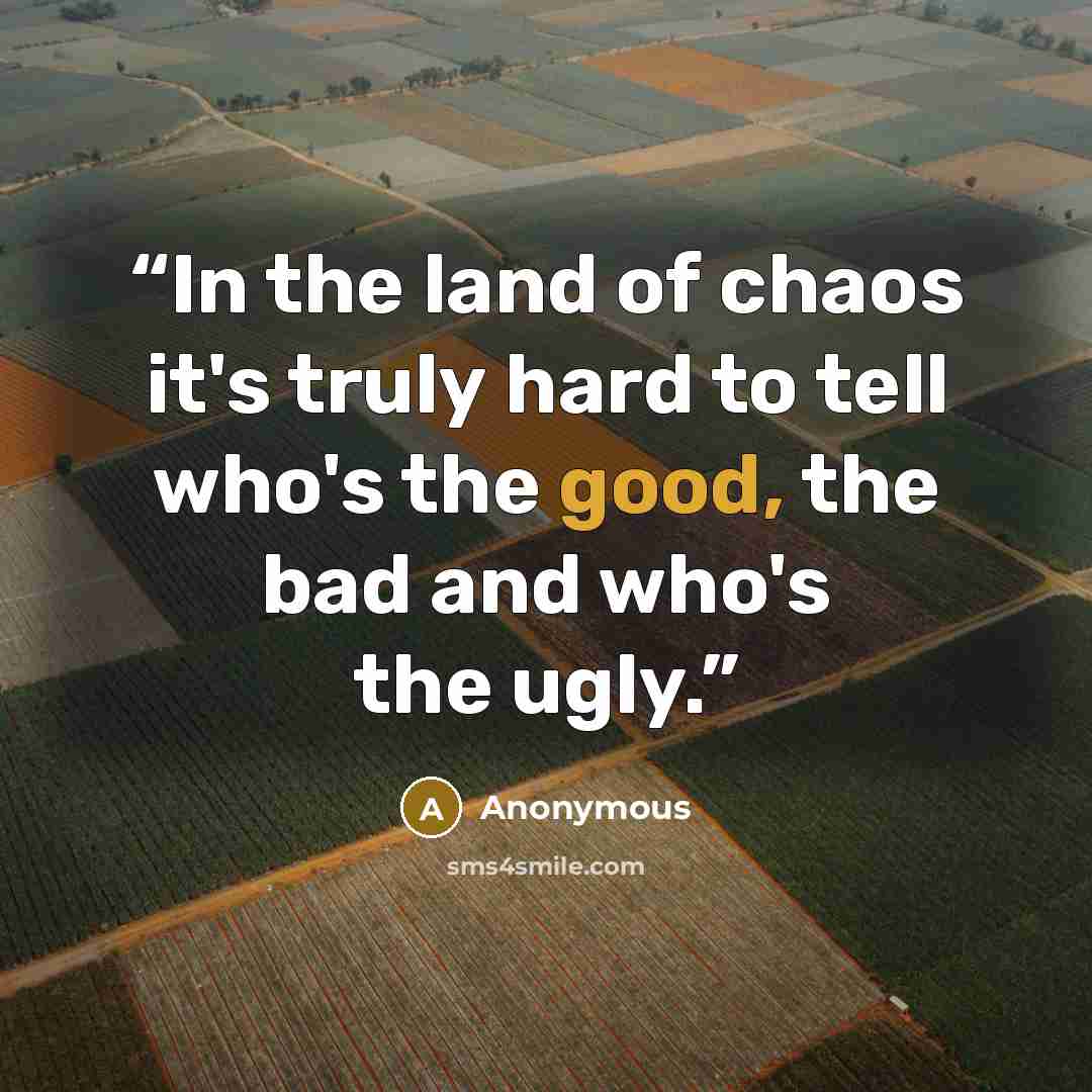 “In the land of chaos it's truly hard to tell who's the good, the bad and who's the ugly.” quote by Anonymous