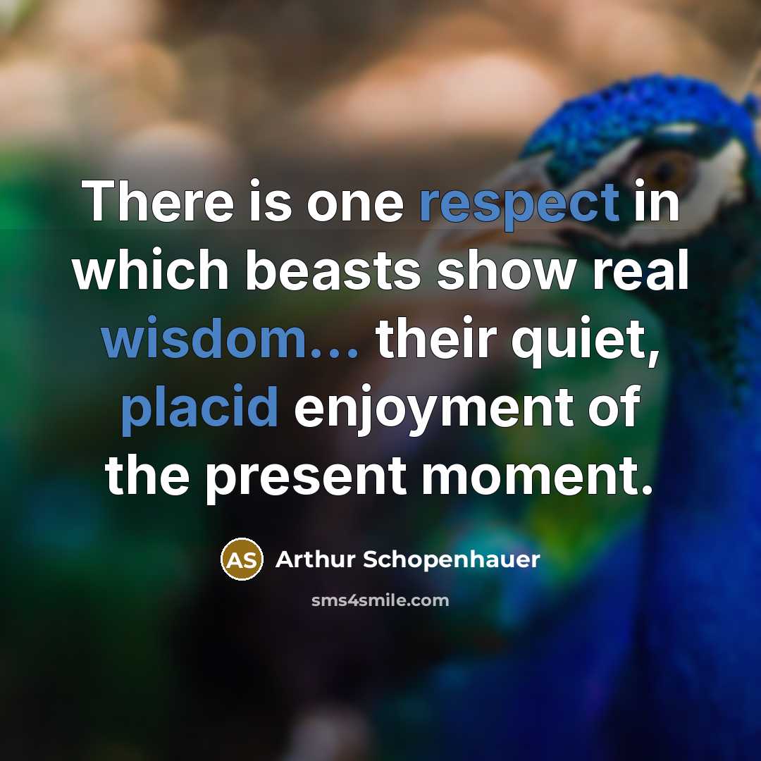 “There is one respect in which beasts show real wisdom... their quiet, placid enjoyment of the present moment.” quote by Arthur Schopenhauer