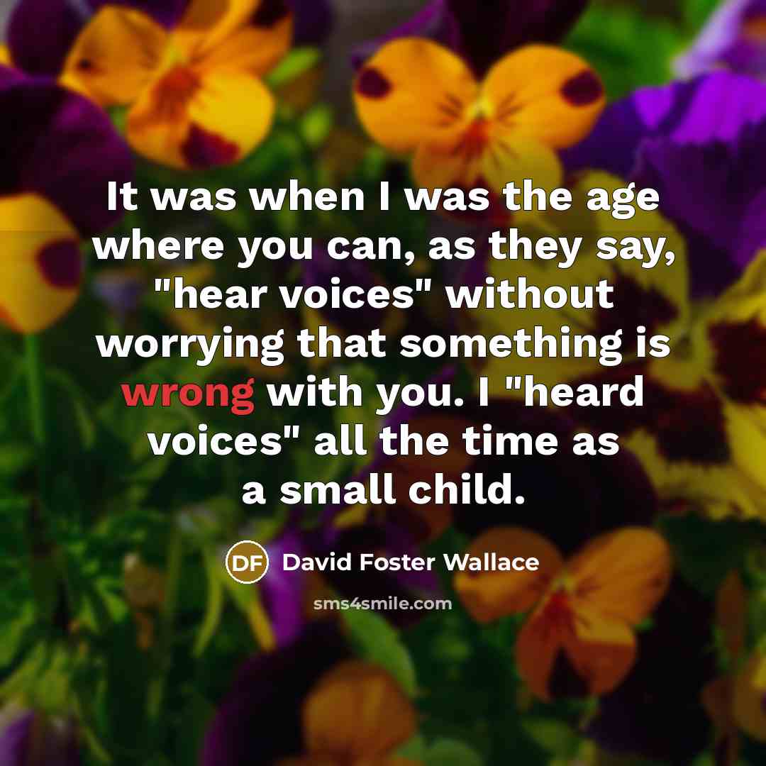 “It was when I was the age where you can,…” quote by David Foster Wallace