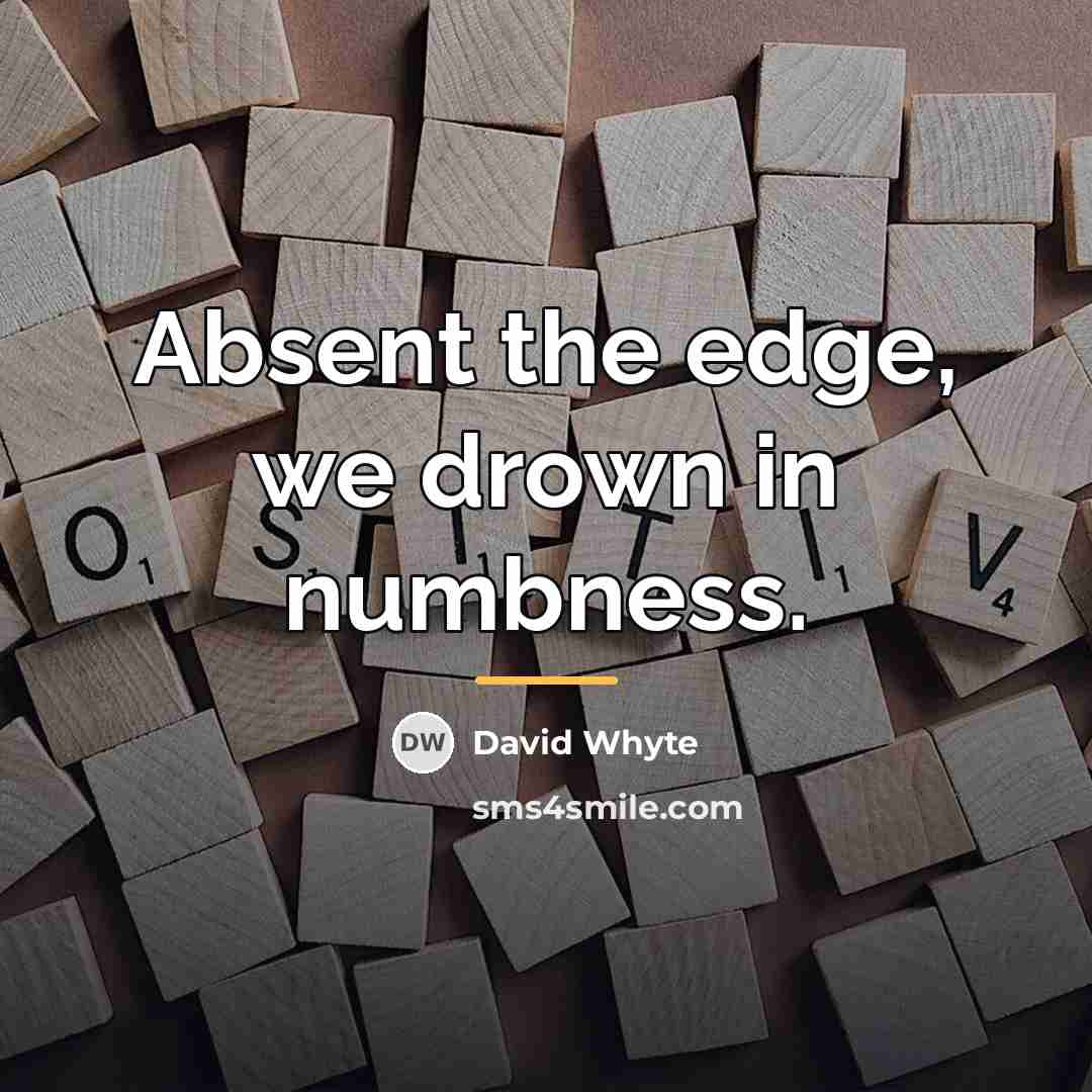 “Absent the edge, we drown in numbness.…” quote by David Whyte