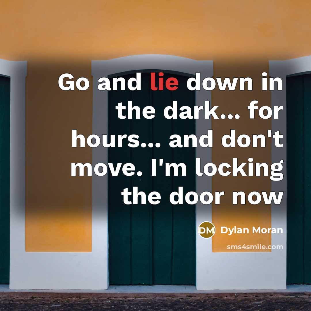 “Go and lie down in the dark... for hours... and…” quote by Dylan Moran