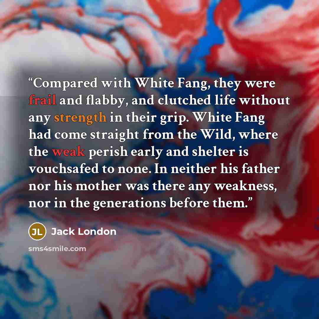 “Compared with White Fang, they were frail and flabby, and clutched life without any strength in their grip. White Fang had come straight from the Wild, where the weak perish early and shelter is vouchsafed to none. In neither his father nor his mother was there any weakness, nor in the generations…” quote by Jack London