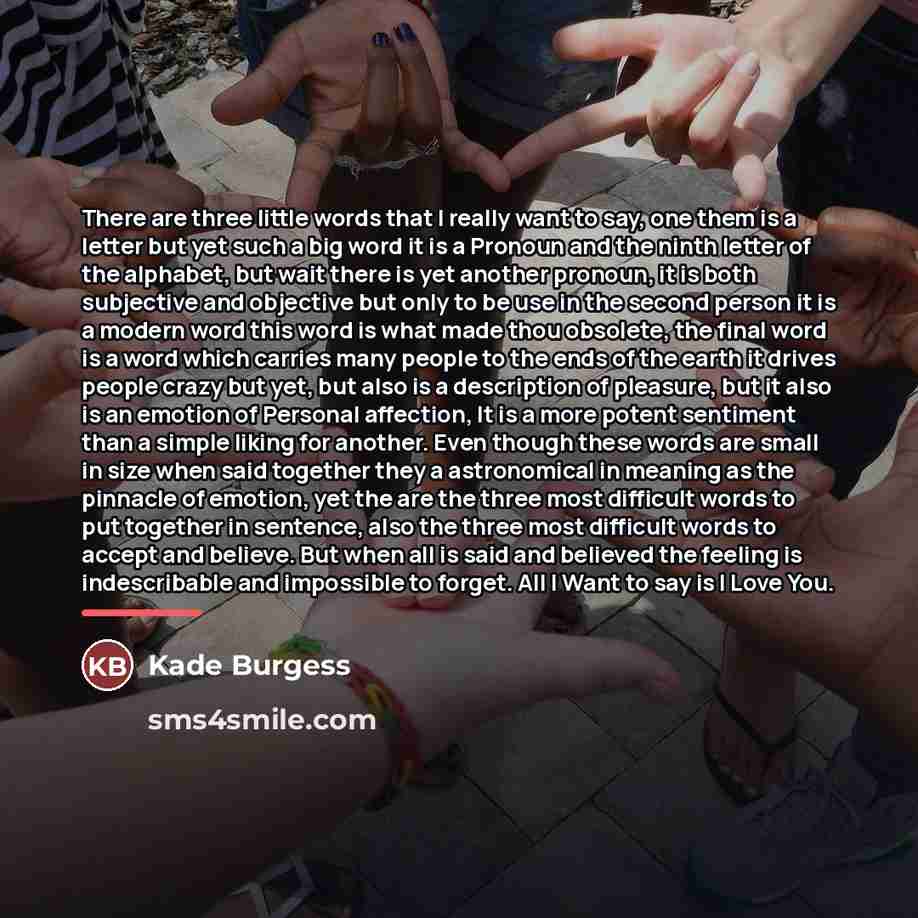 “There are three little words that I really want to…” quote by Kade Burgess
