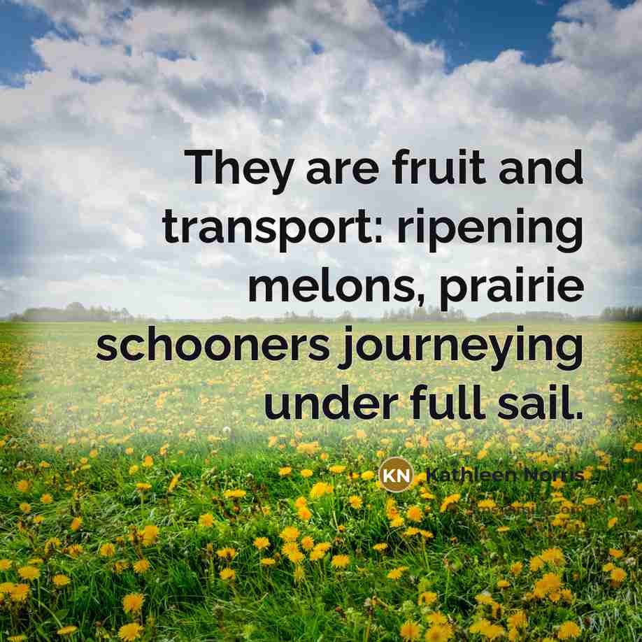 “They are fruit and transport: ripening melons, prairie schooners journeying…” quote by Kathleen Norris