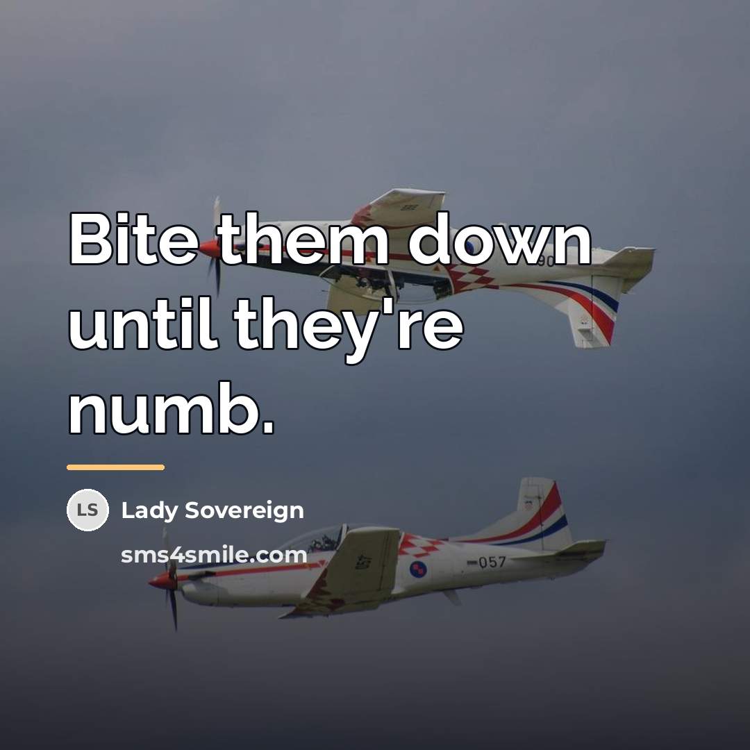 “Bite them down until they're numb.…” quote by Lady Sovereign