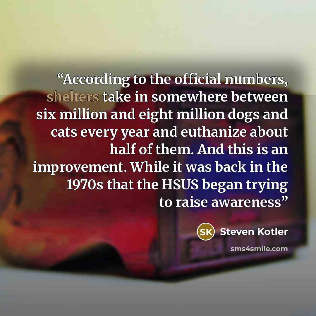“According to the official numbers, shelters take in somewhere between six million and eight million dogs and cats every year and euthanize about half of them. And this is an improvement. While it was back in the 1970s that the HSUS began trying to raise awareness” quote by Steven Kotler